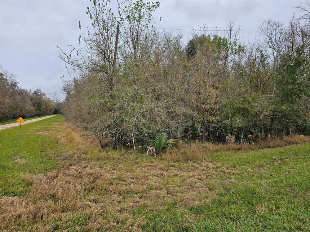 1070 County Road 136 / Live Oak Van Vleck, TX 77482