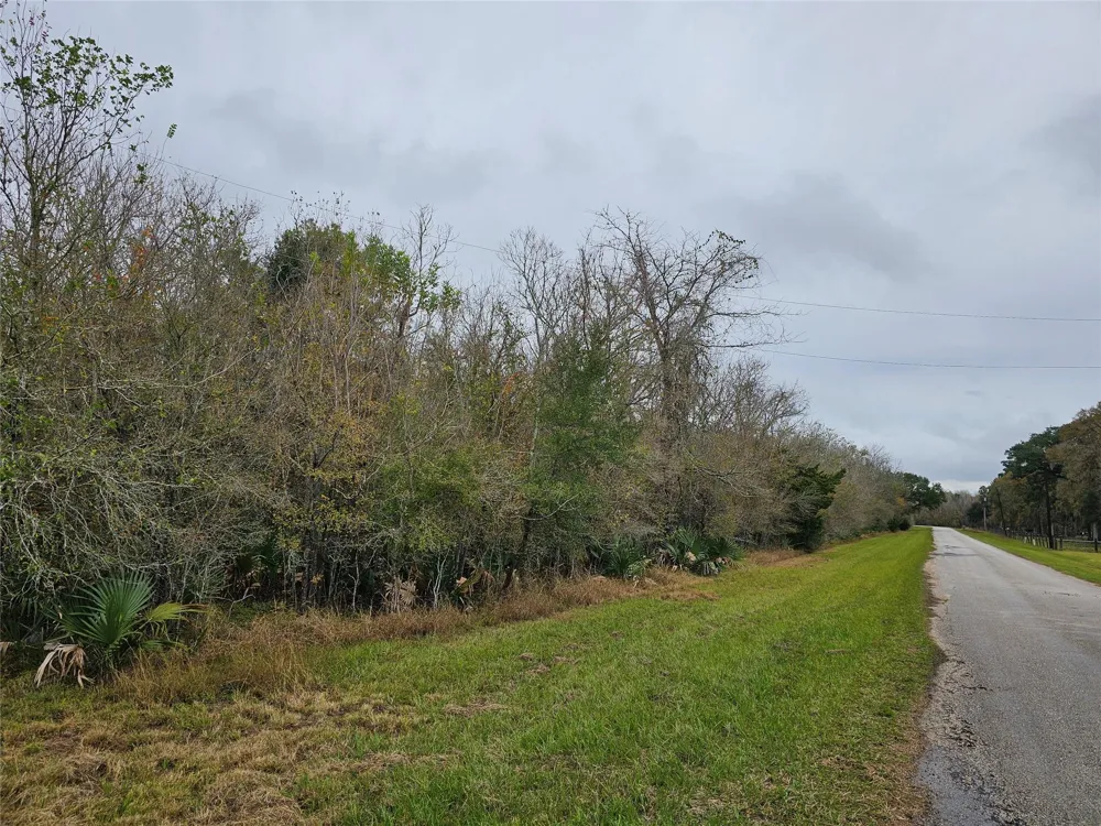 1070 County Road 136 / Live Oak Van Vleck, TX 77482