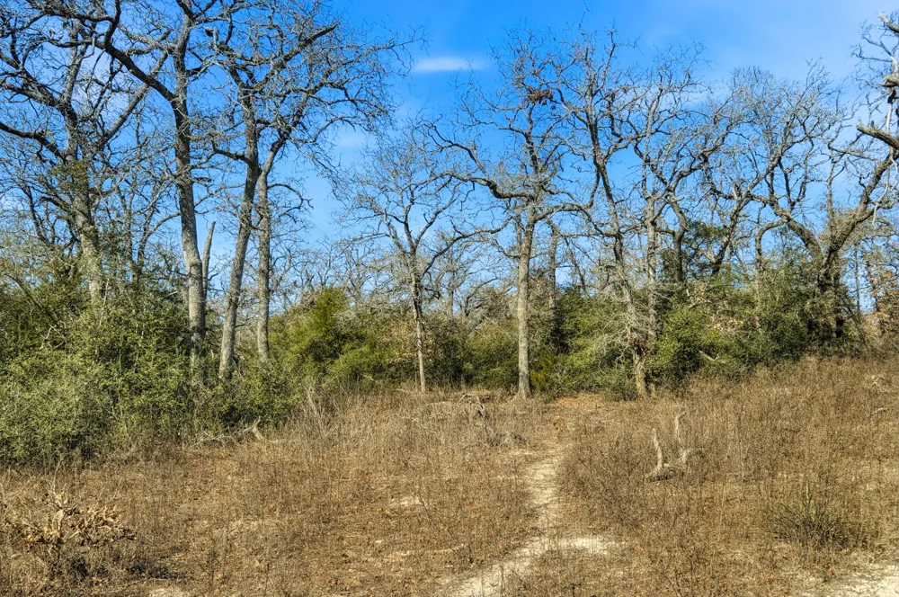 1310 Perry Lane Thorndale, TX 76577