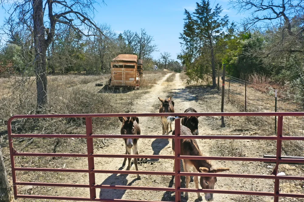 1310 Perry Lane Thorndale, TX 76577