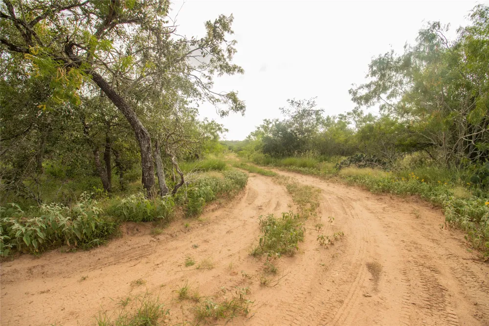 6562 Cross Road Seguin, TX 78155