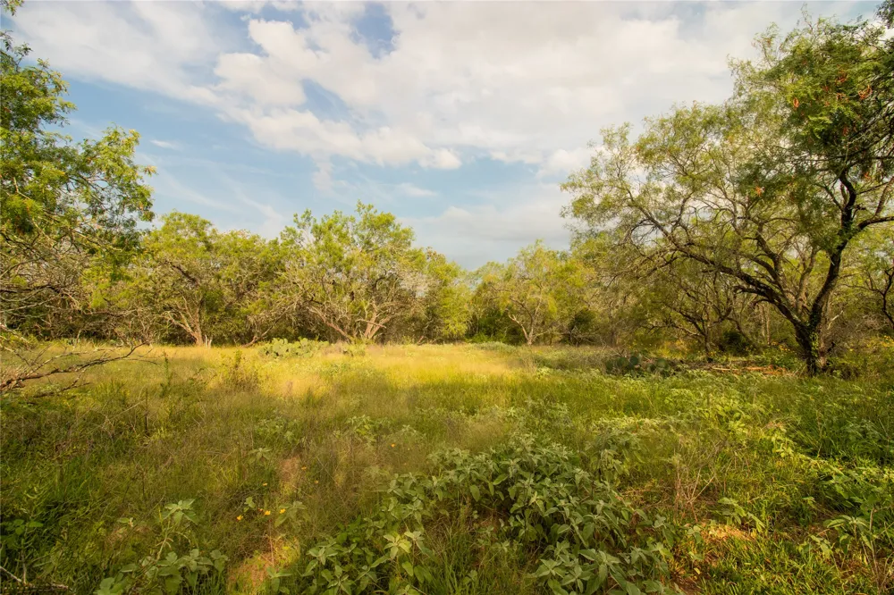 6562 Cross Road Seguin, TX 78155