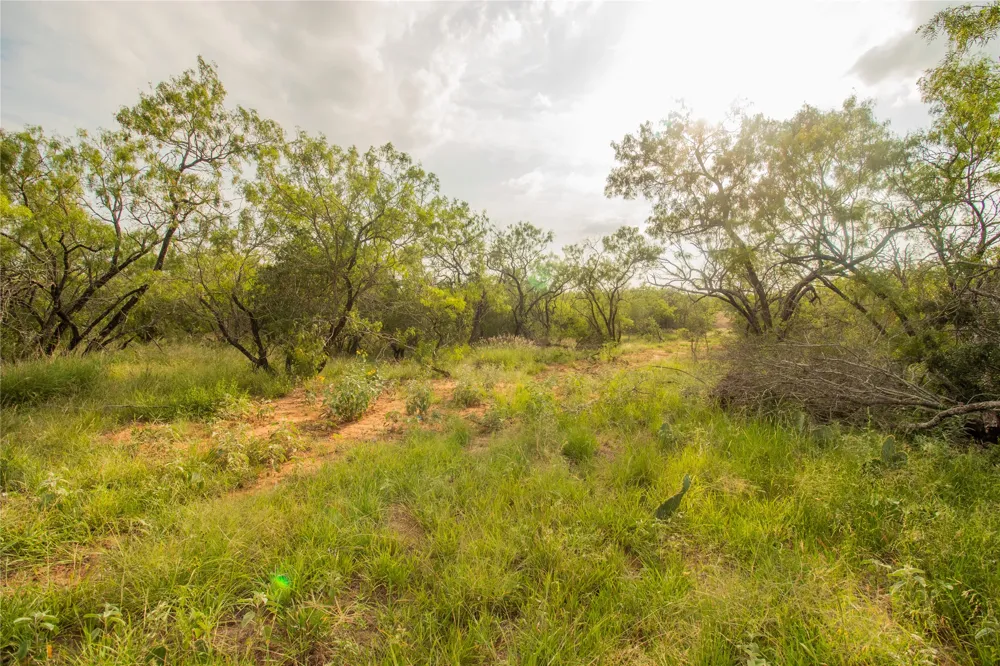 6562 Cross Road Seguin, TX 78155