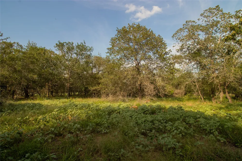6562 Cross Road Seguin, TX 78155