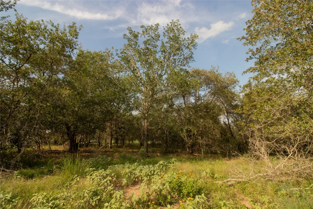 6562 Cross Road Seguin, TX 78155
