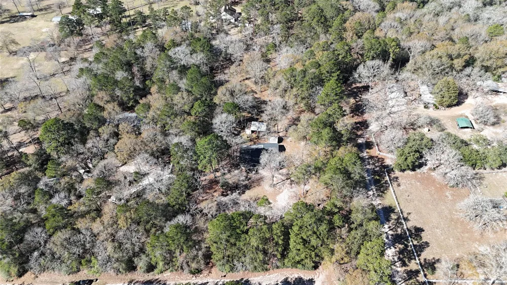 16044 Yaupon Berry Plantersville, TX 77363