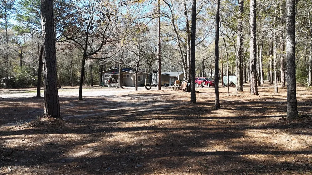 16044 Yaupon Berry Plantersville, TX 77363