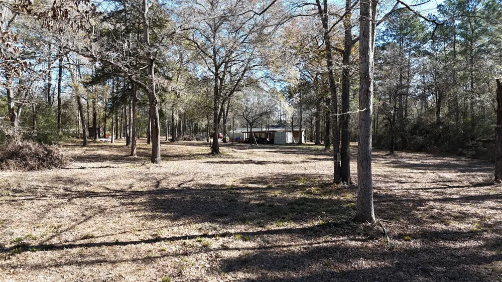 16044 Yaupon Berry Plantersville, TX 77363