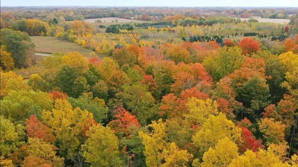 6854 Nature Lane La Porte, IN 46350