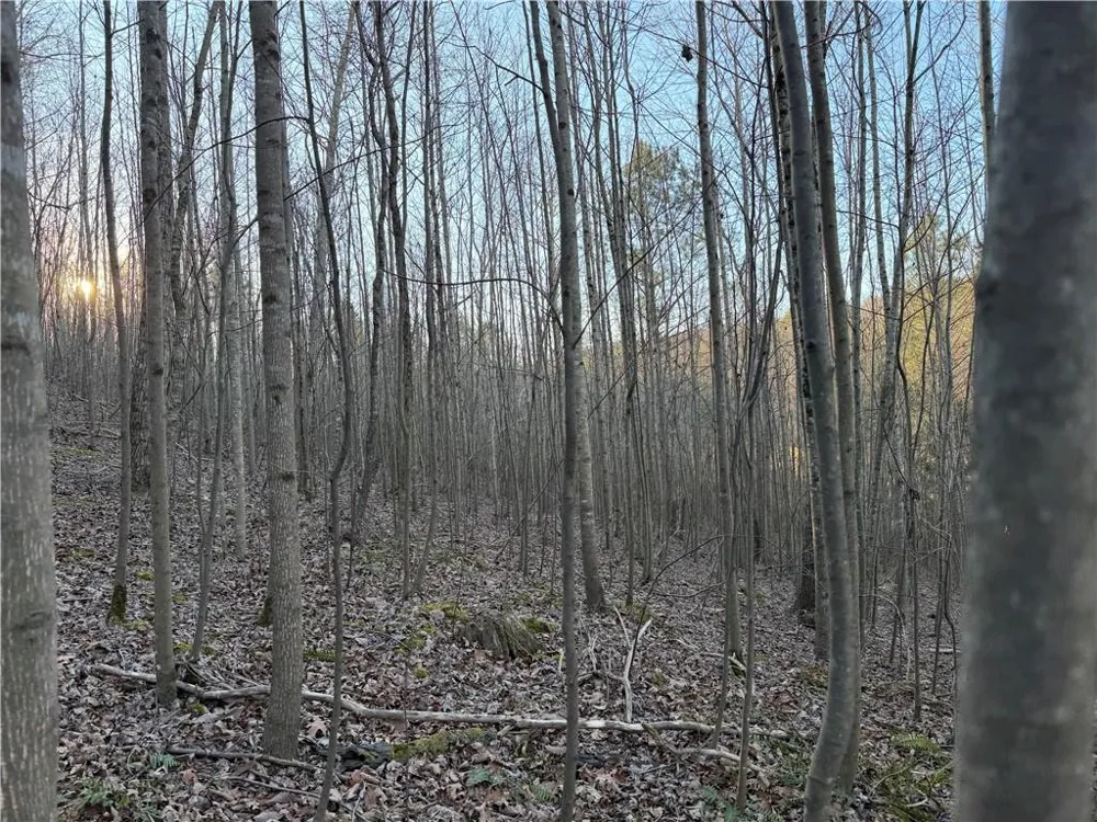 0 Rockfence Road Adairsville, GA 30103