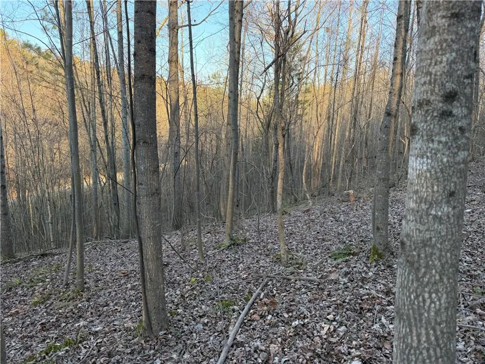 0 Rockfence Road Adairsville, GA 30103