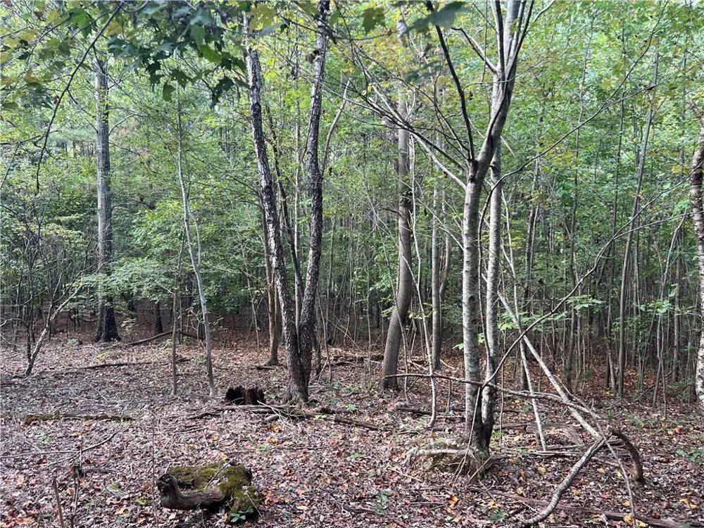 0 Rockfence Road Adairsville, GA 30103