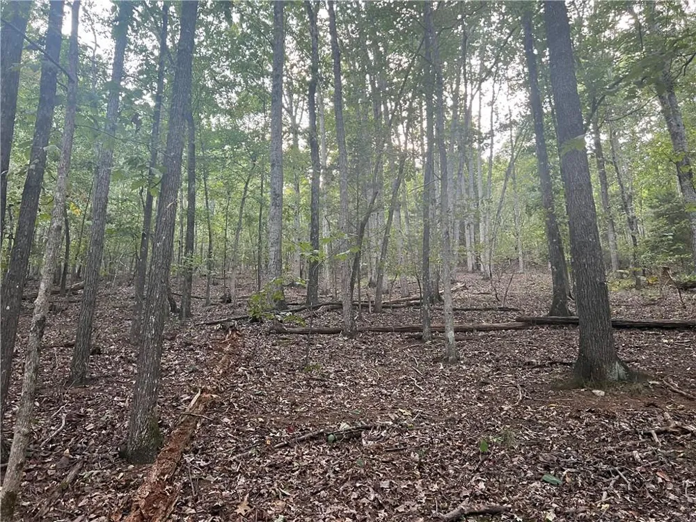 0 Rockfence Road Adairsville, GA 30103