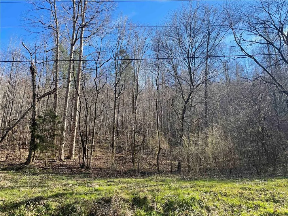 0 Rockfence Road Adairsville, GA 30103