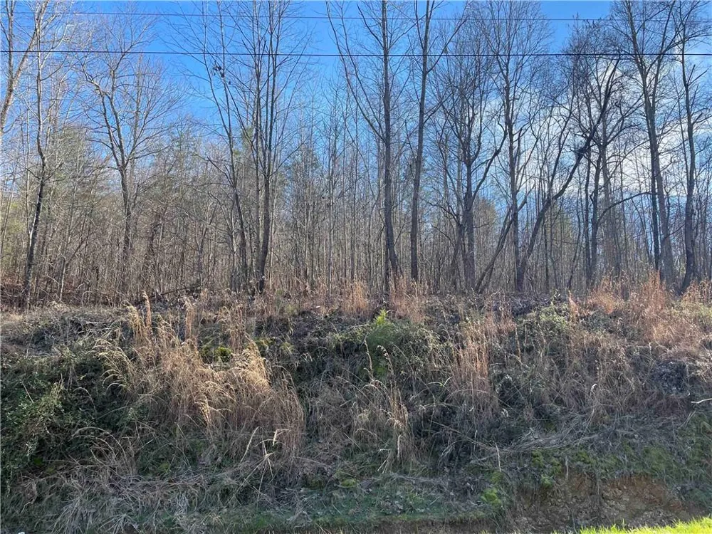 0 Rockfence Road Adairsville, GA 30103