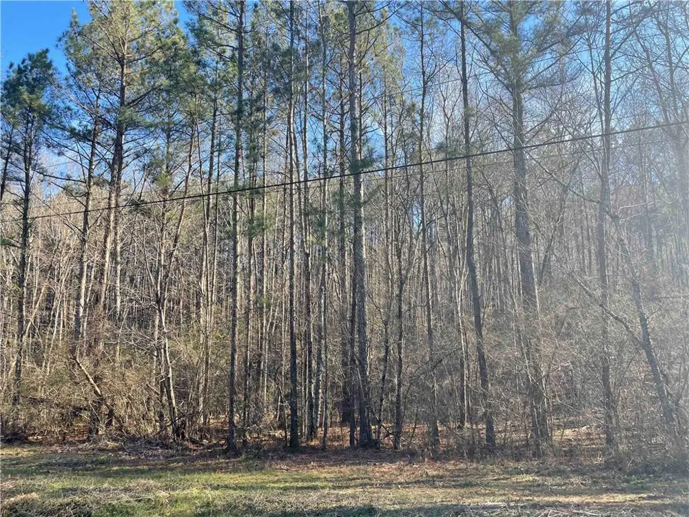 0 Rockfence Road Adairsville, GA 30103