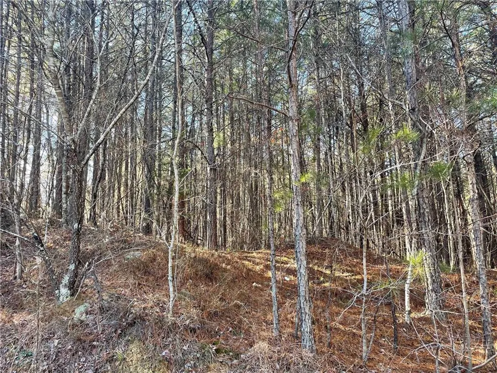 0 Rockfence Road Adairsville, GA 30103