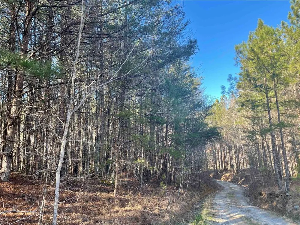 0 Rockfence Road Adairsville, GA 30103