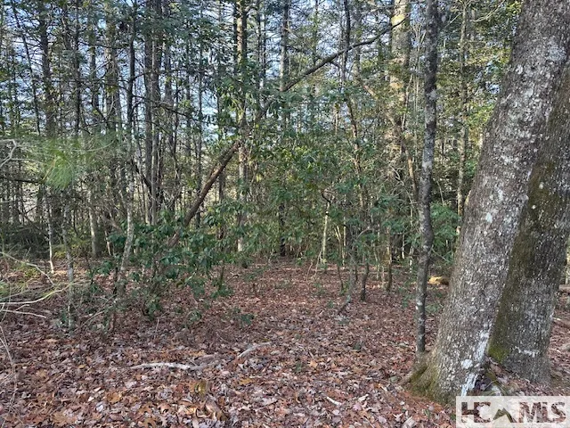 TBD Kim Miller Road Lake Toxaway, NC 28747