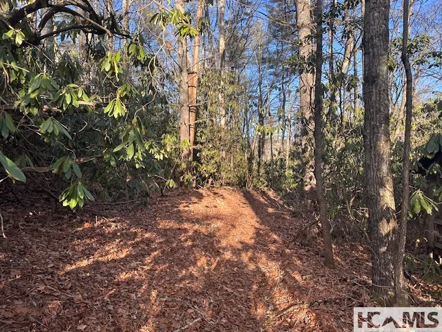 TBD Kim Miller Road Lake Toxaway, NC 28747