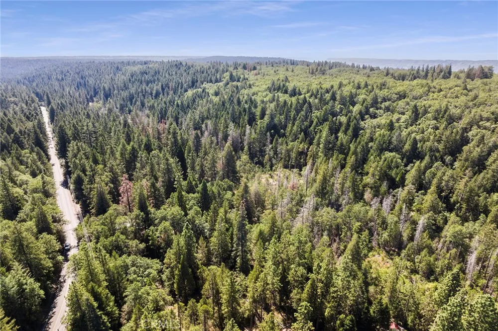 Tranquility/Skyway Magalia, CA 95954