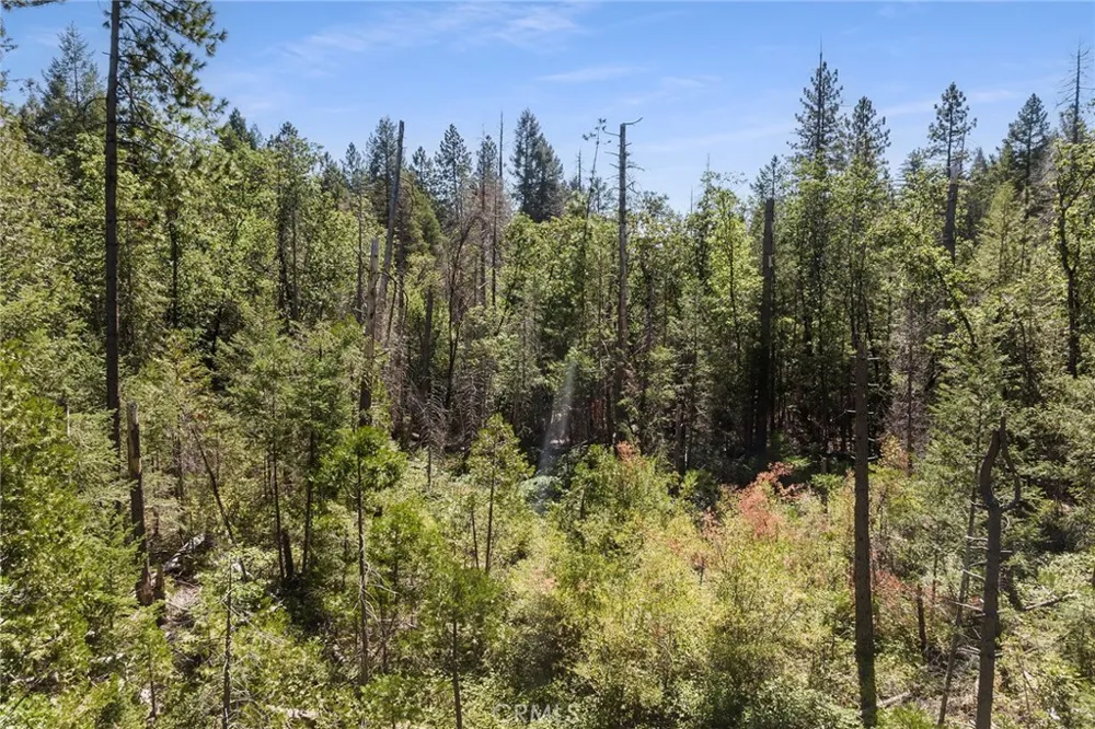 Tranquility/Skyway Magalia, CA 95954