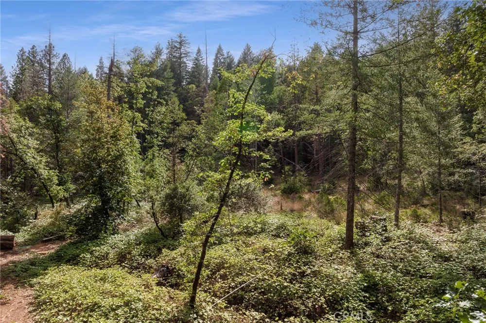 Tranquility/Skyway Magalia, CA 95954
