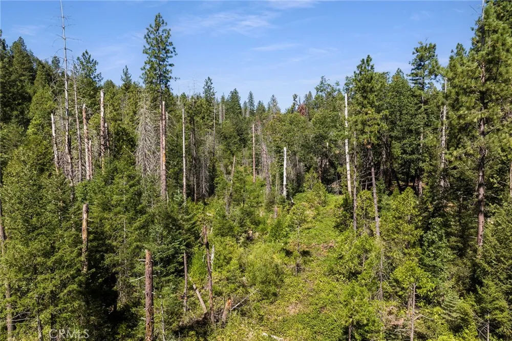 Tranquility/Skyway Magalia, CA 95954