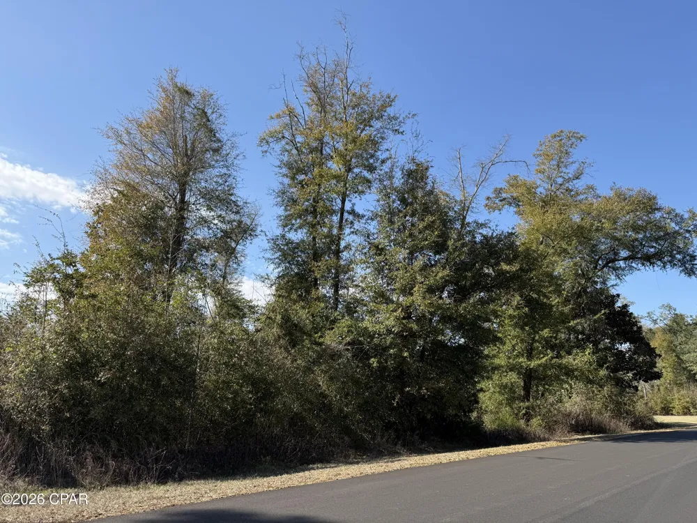 3 Appalachee Trail Marianna, FL 32446