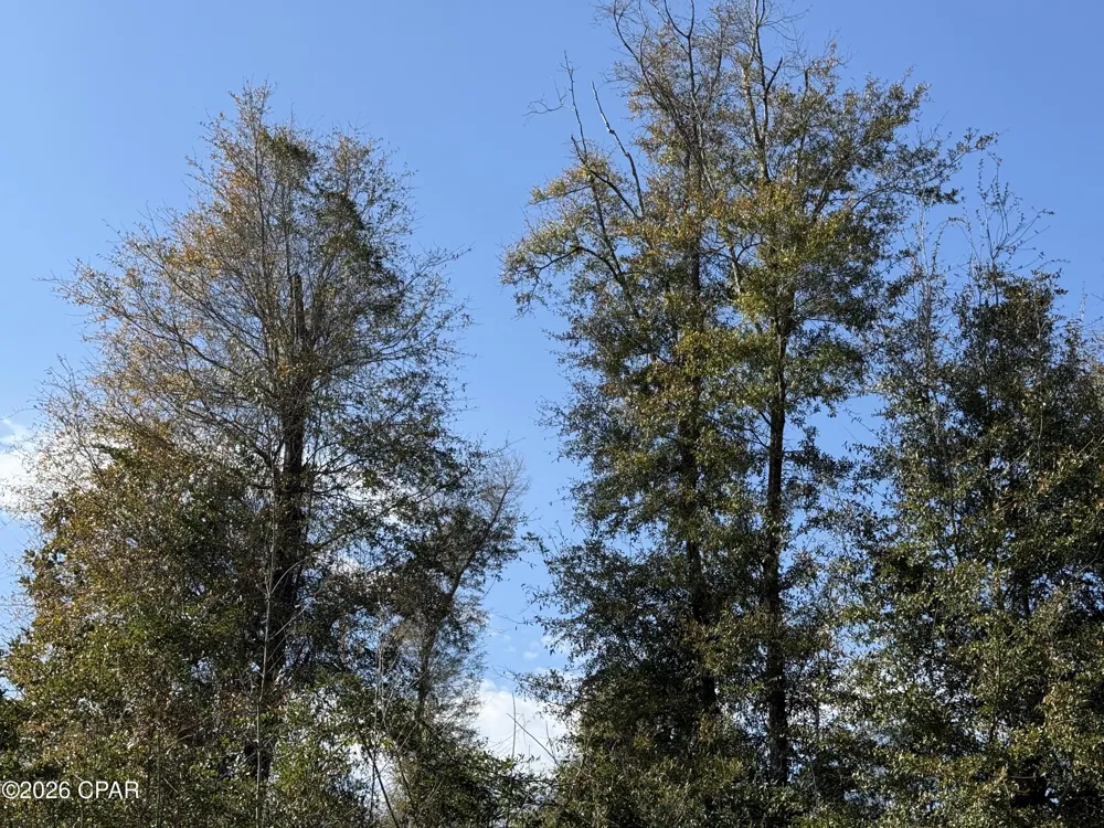 3 Appalachee Trail Marianna, FL 32446