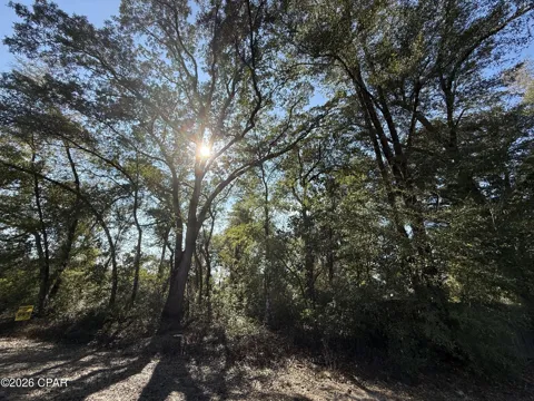 1 Appalachee Trail