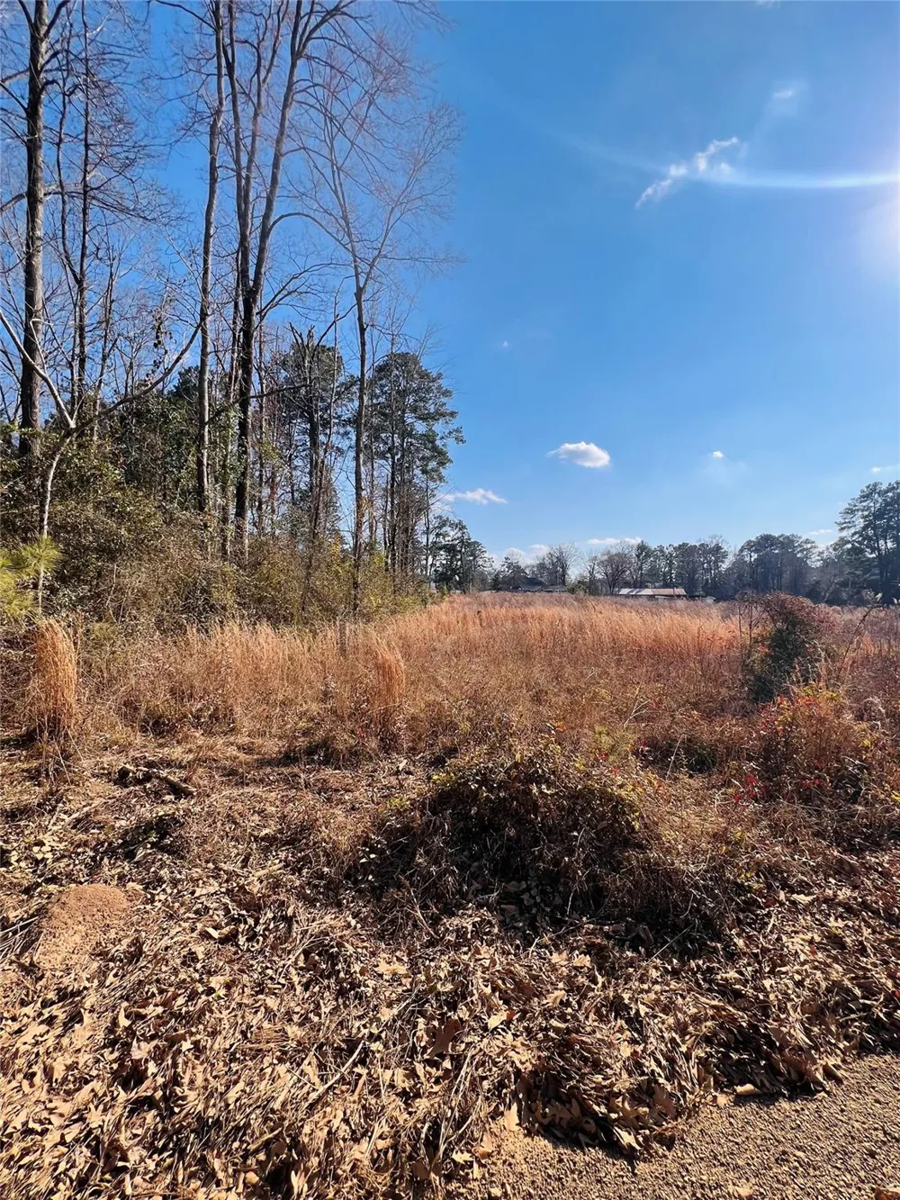 495 Rice Street Hemphill, TX 75948