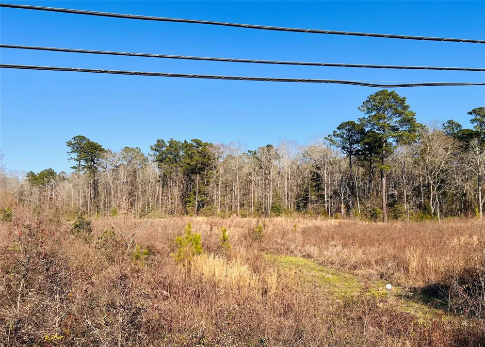 495 Rice Street Hemphill, TX 75948