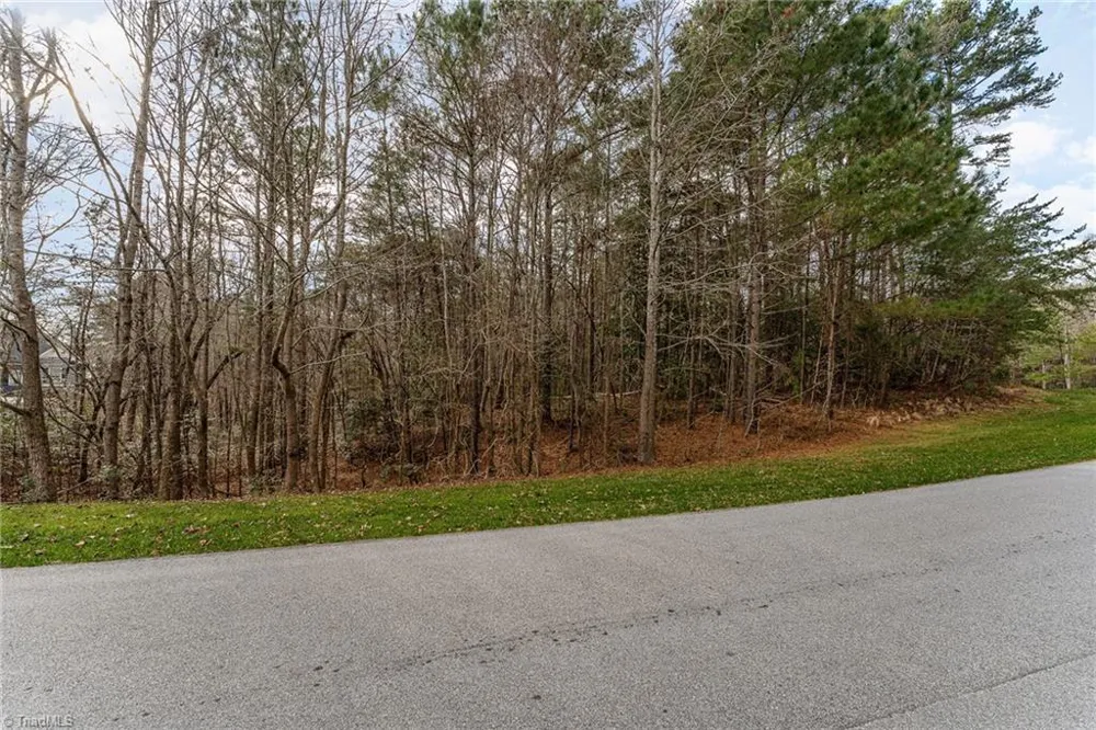 215 Mallard Drive New London, NC 28127