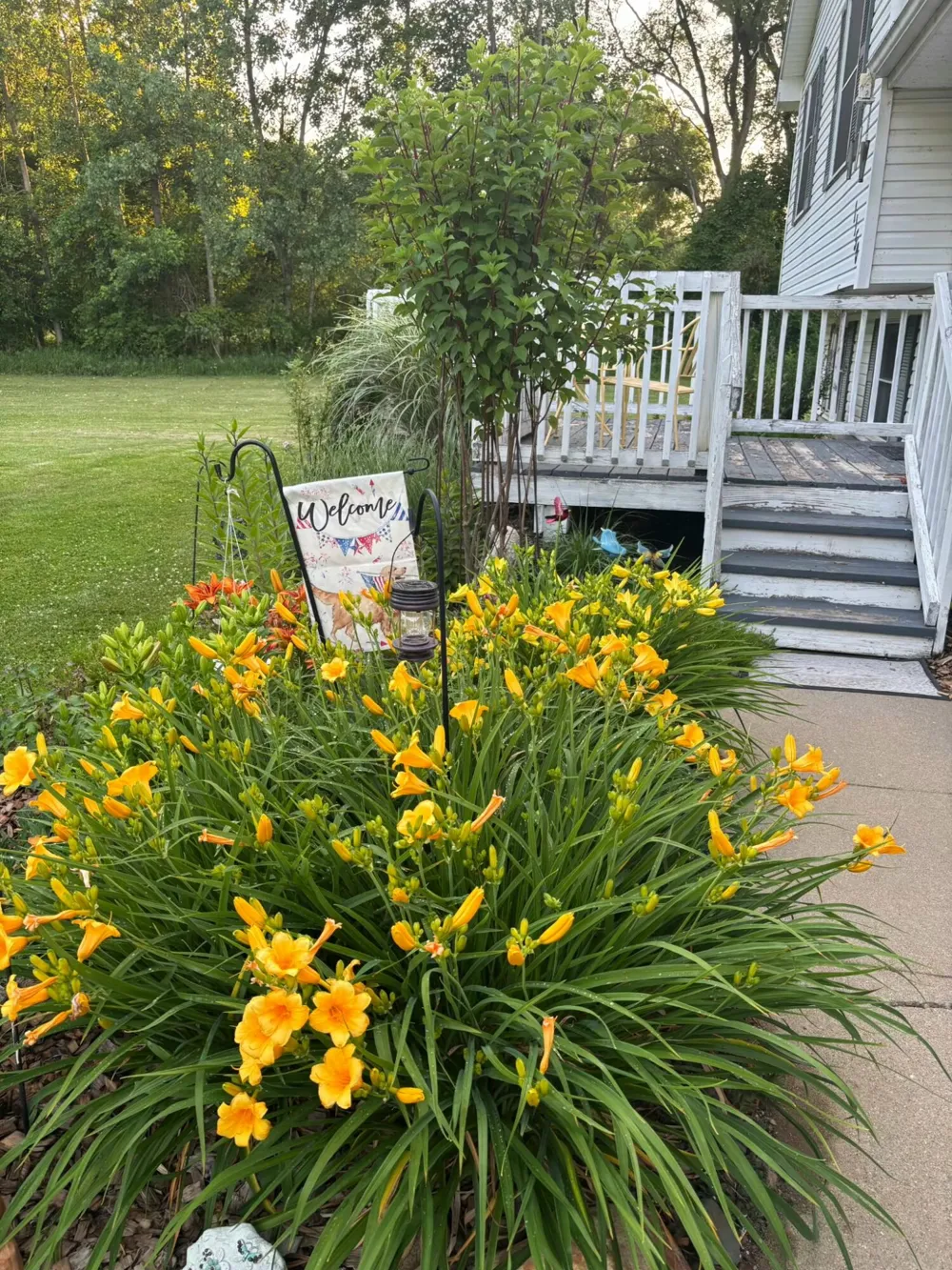 1150 Losey Road Rives Township, MI 49277