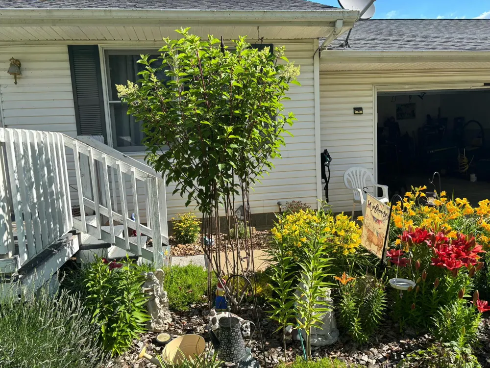 1150 Losey Road Rives Township, MI 49277