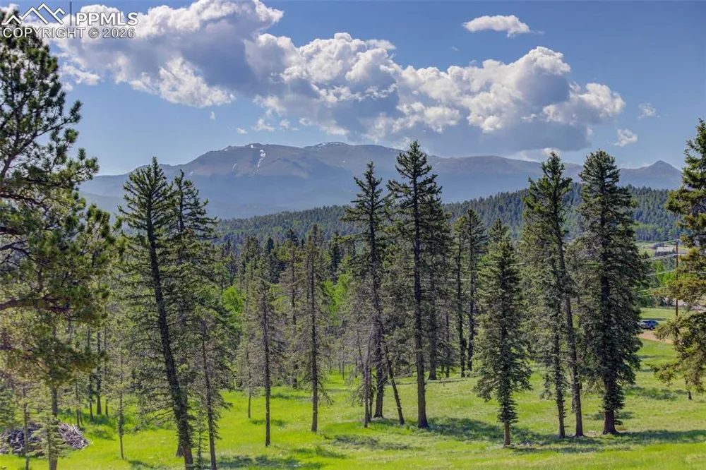 4797 County Road 42 Divide, CO 80814