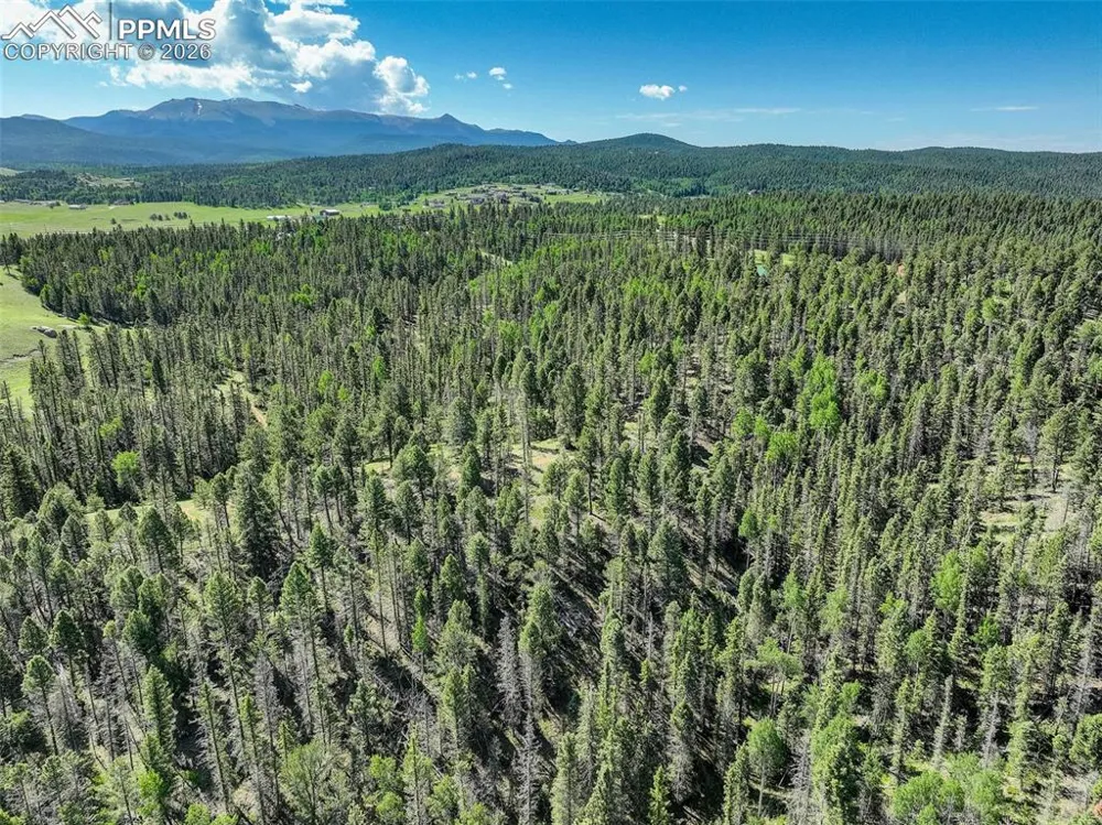 4797 County Road 42 Divide, CO 80814