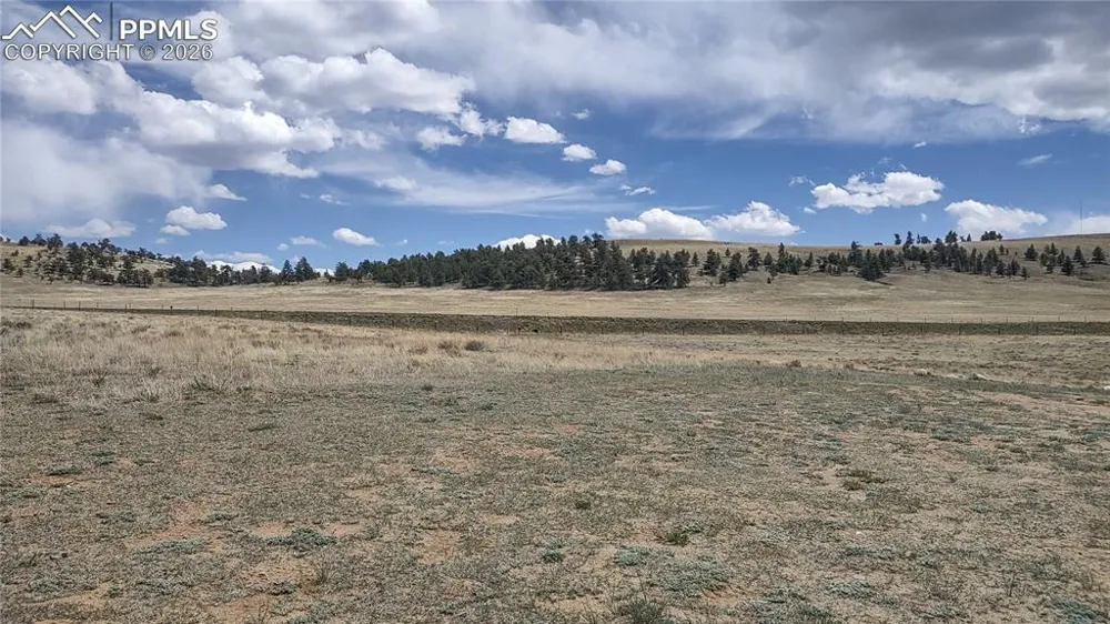 128 E Ranger Hill Road Hartsel, CO 80449