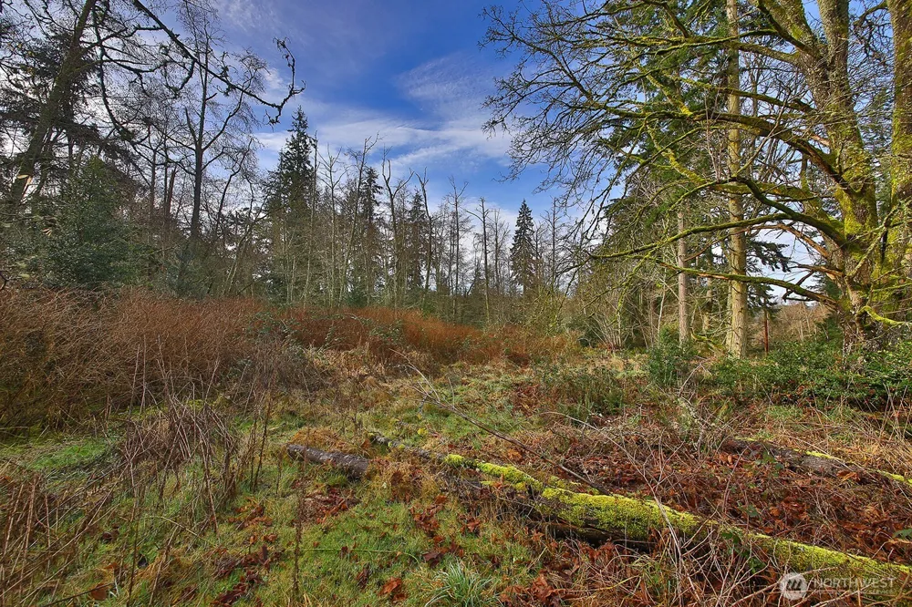 0 Goss Lake Road Freeland, WA 98249