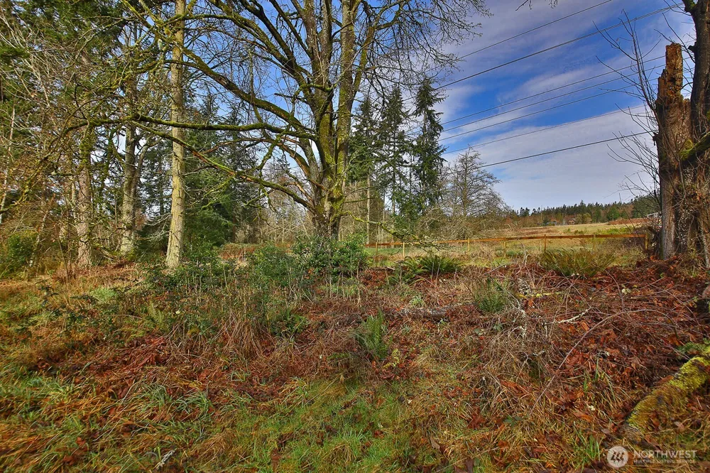 0 Goss Lake Road Freeland, WA 98249