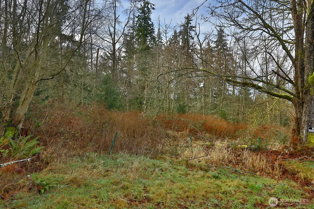 0 Goss Lake Road Freeland, WA 98249
