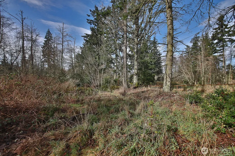 0 Goss Lake Road Freeland, WA 98249