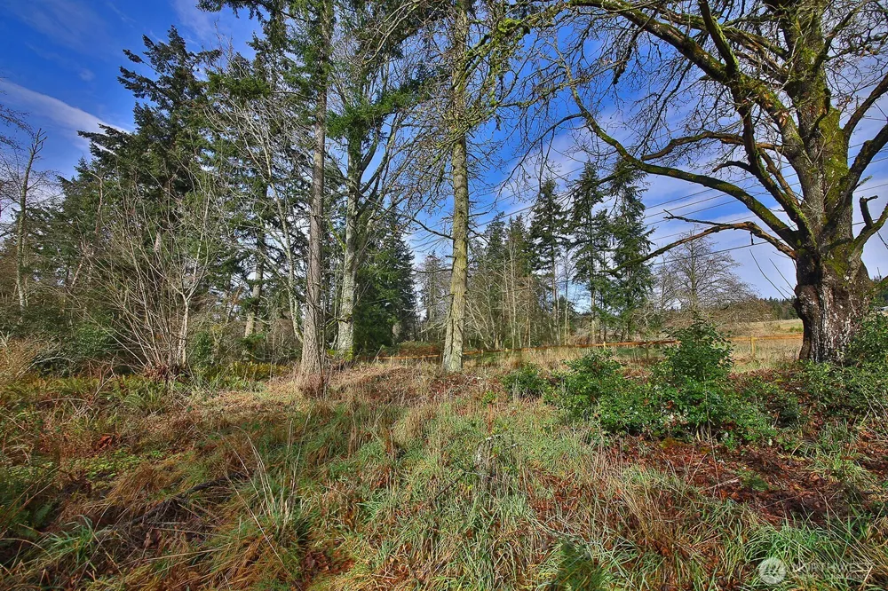 0 Goss Lake Road Freeland, WA 98249