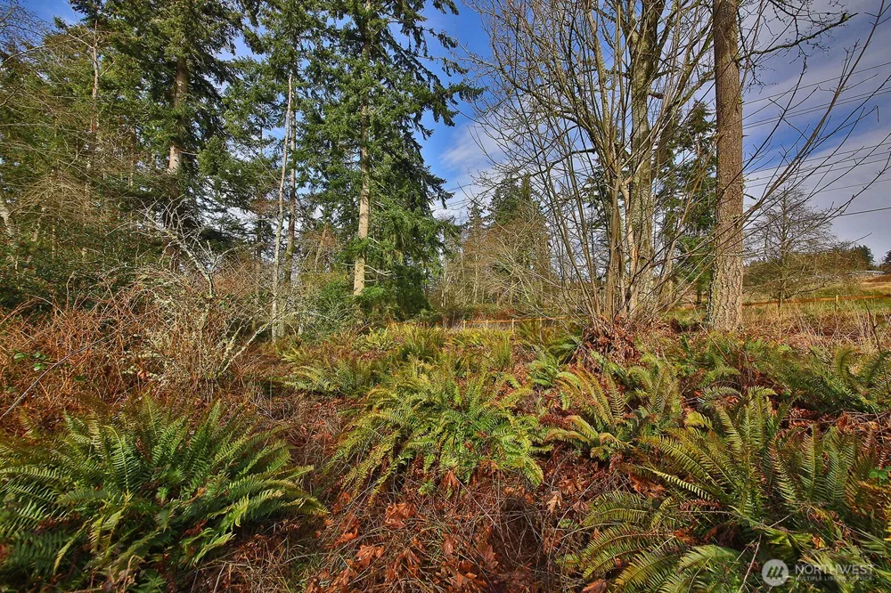 0 Goss Lake Road Freeland, WA 98249