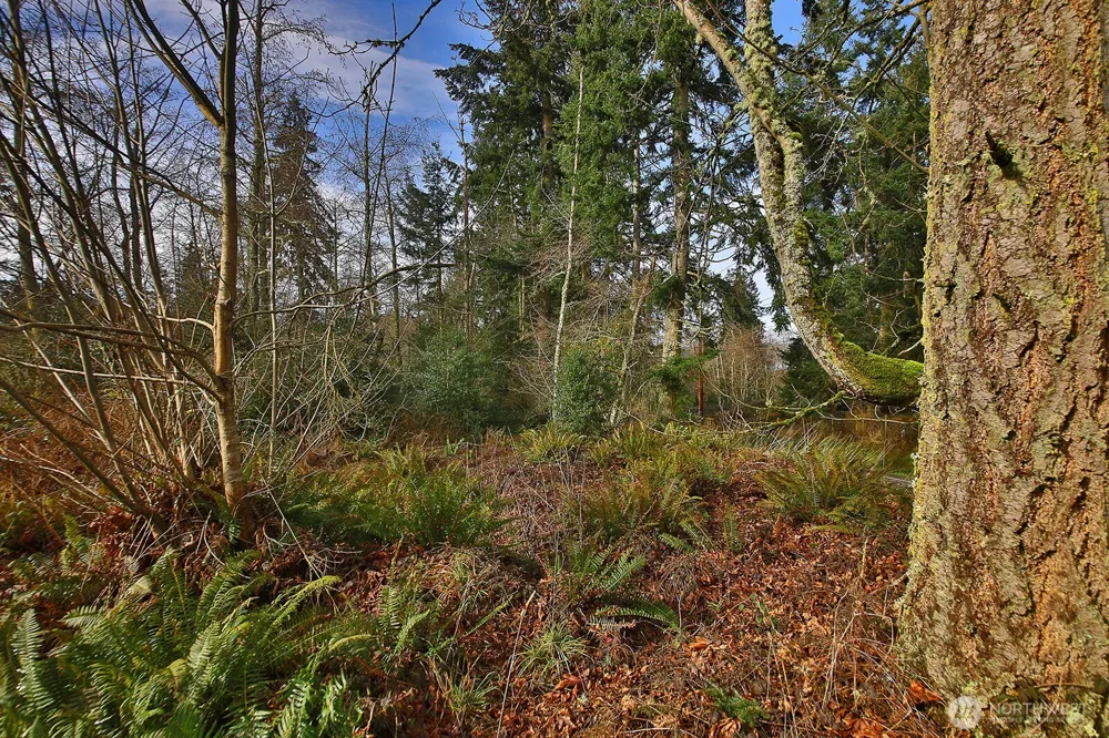 0 Goss Lake Road Freeland, WA 98249