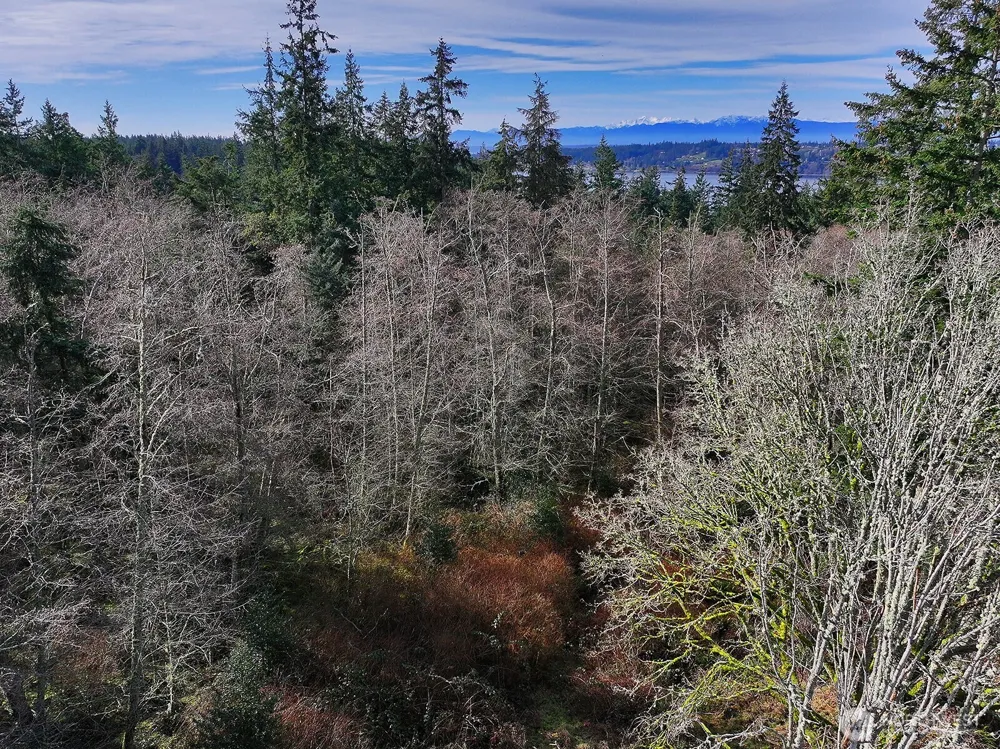 0 Goss Lake Road Freeland, WA 98249