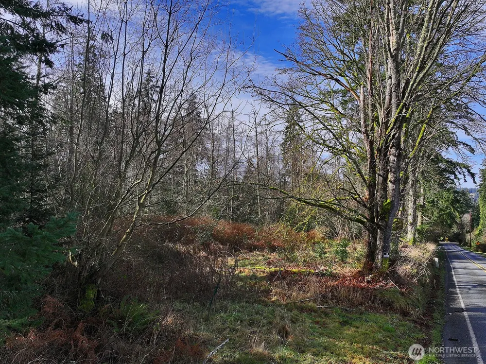0 Goss Lake Road Freeland, WA 98249