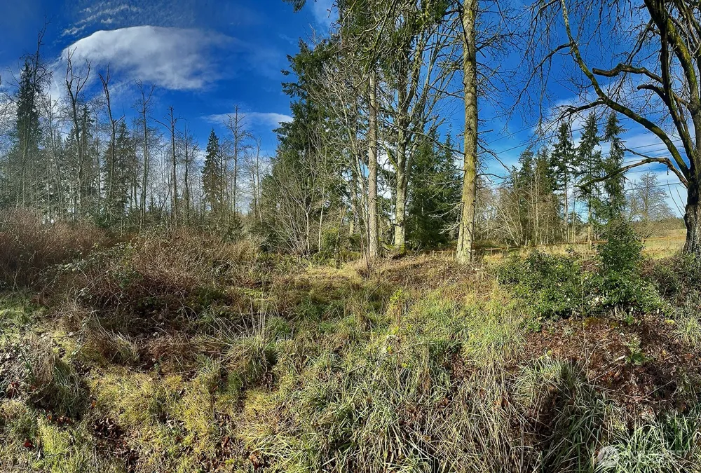 0 Goss Lake Road Freeland, WA 98249