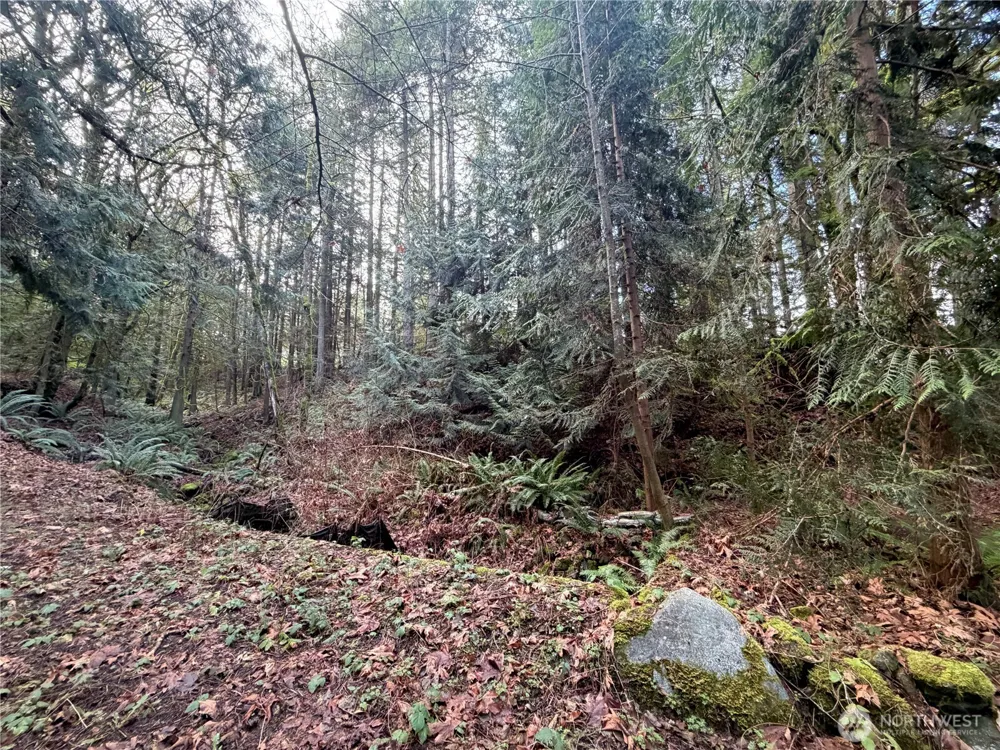 7625 NW Mountain Vista Lane Silverdale, WA 98383